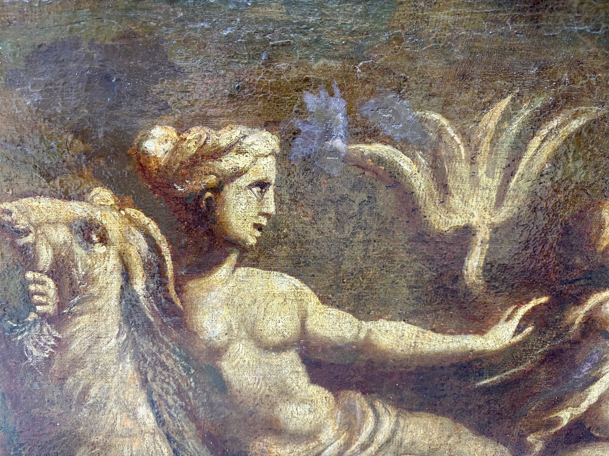 Grande Tela in Grisaglia Scena di tritoni e Nereidi Italia XVIII secolo-photo-2