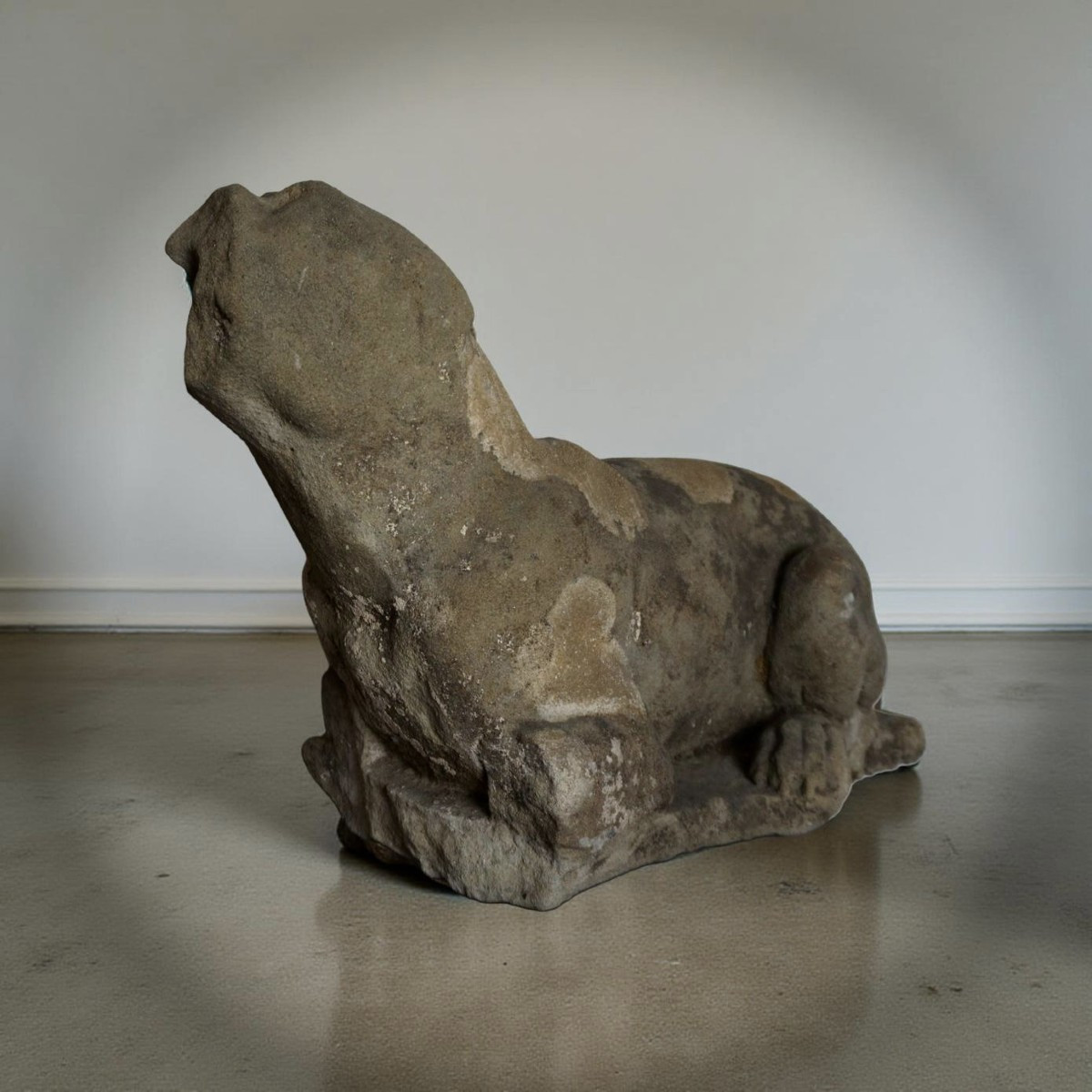 Grande Scultura Rinascimentale Levriero in Pietra Serena Firenze XVI secolo-photo-2