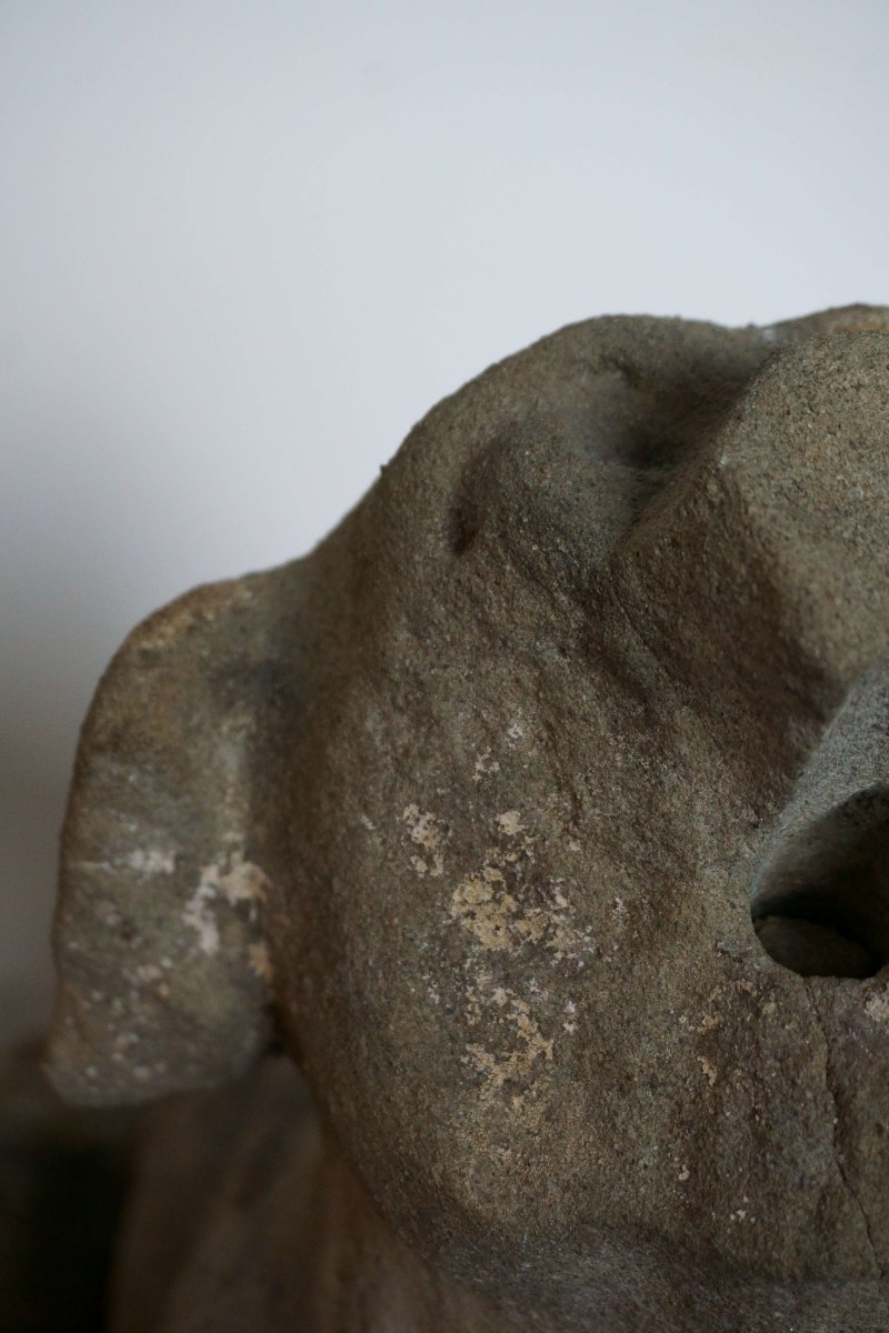 Grande Scultura Rinascimentale Levriero in Pietra Serena Firenze XVI secolo-photo-2