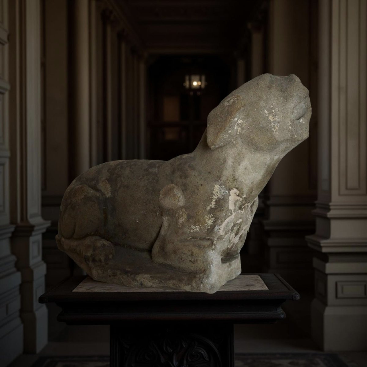 Grande Scultura Rinascimentale Levriero in Pietra Serena Firenze XVI secolo-photo-6