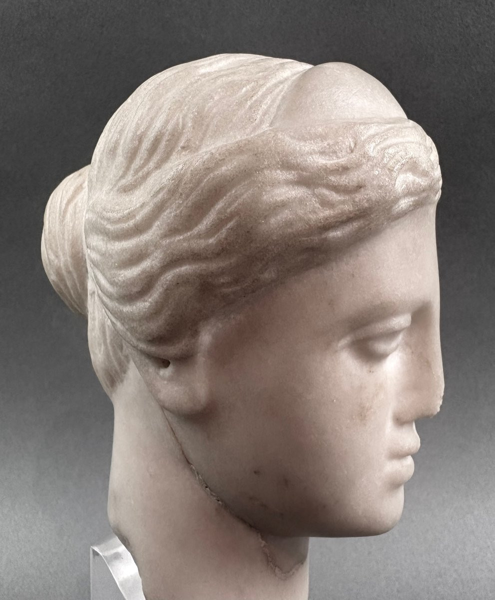 Testa Neoclassica in Marmo Italia XVIII secolo-photo-1