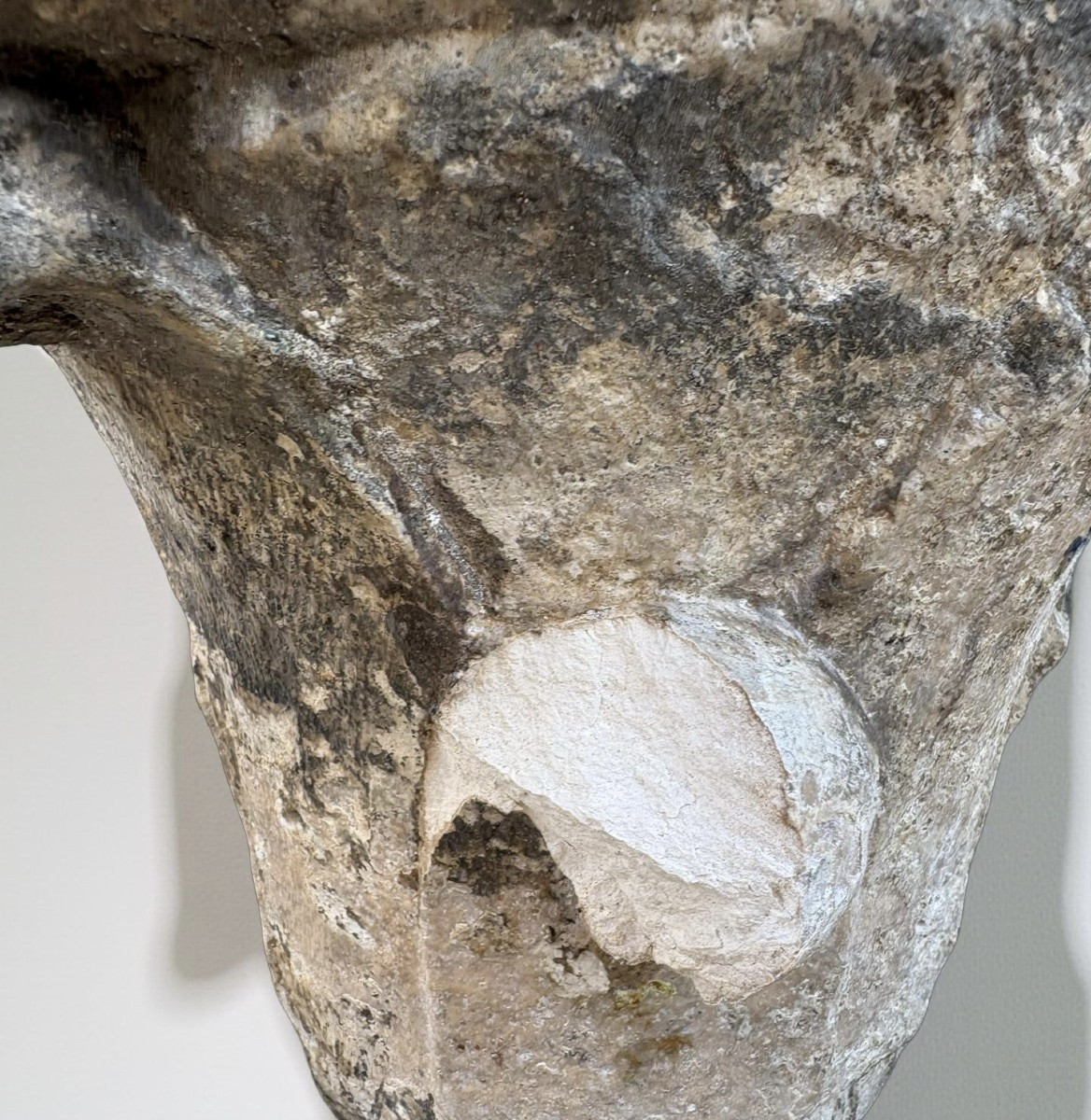 Coppia di Capitelli Medievali in Marmo di Zandobbio XII secolo-photo-3