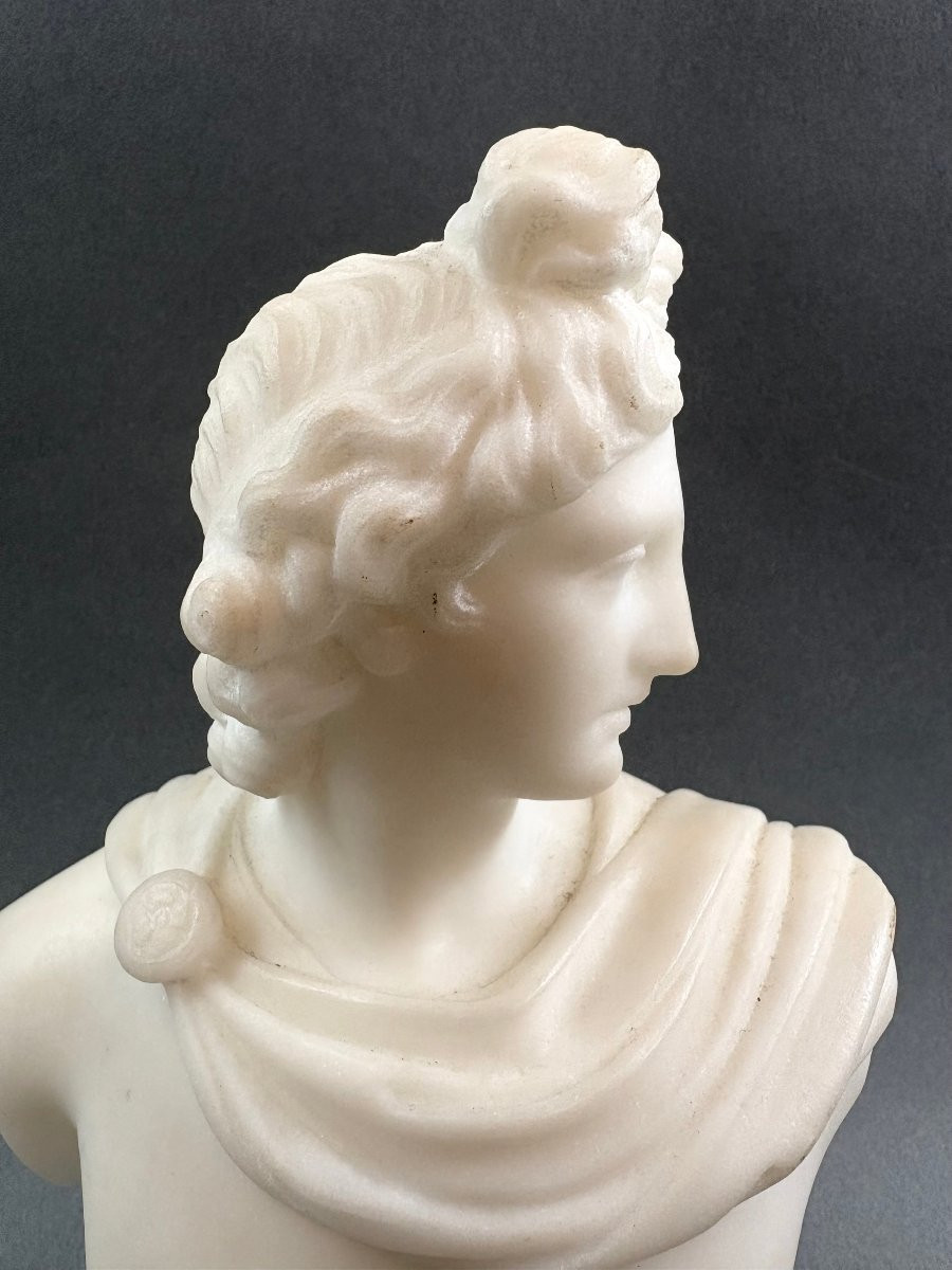 Piccolo Busto Neoclassico in Marmo Apollo del Belvedere Grand Tour XIX-photo-2