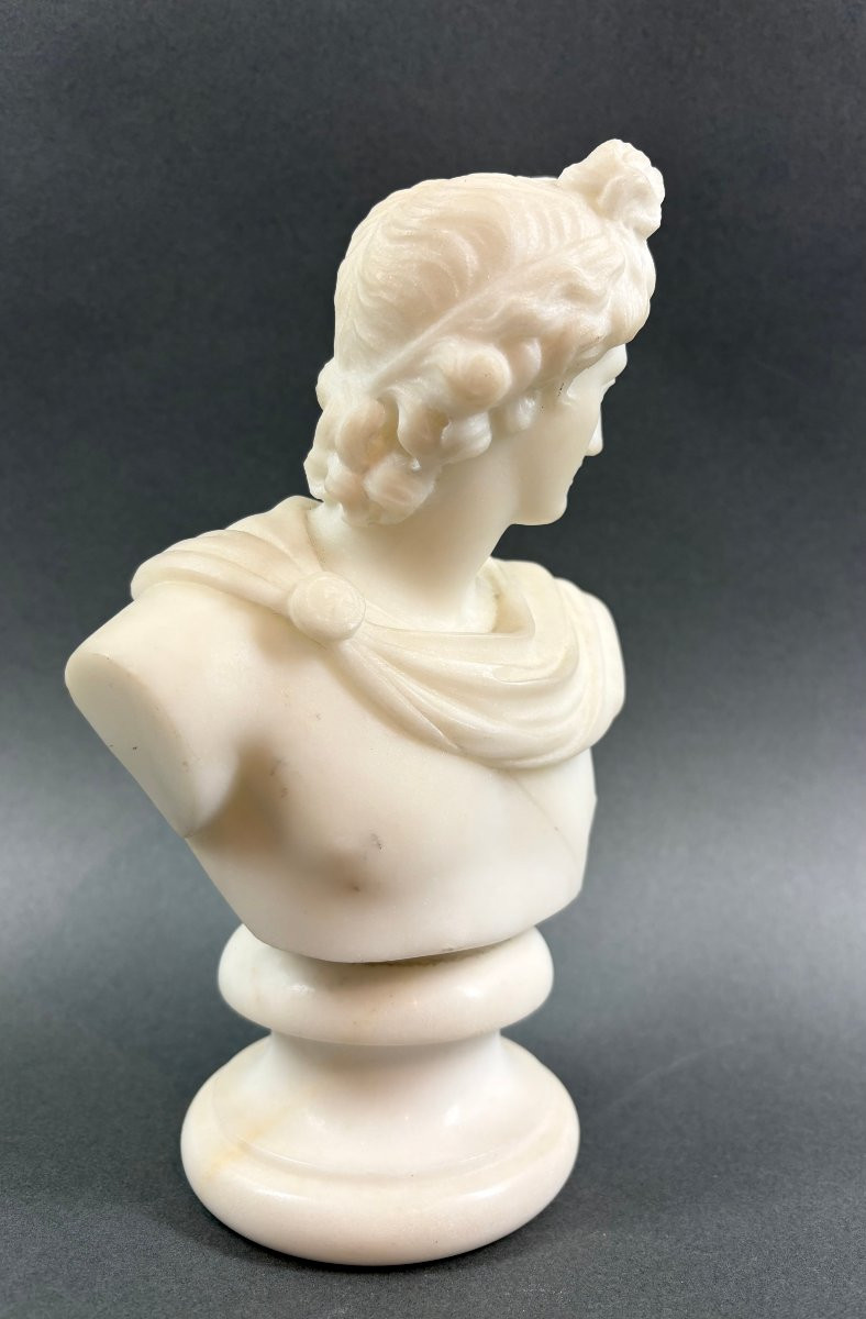 Piccolo Busto Neoclassico in Marmo Apollo del Belvedere Grand Tour XIX-photo-3