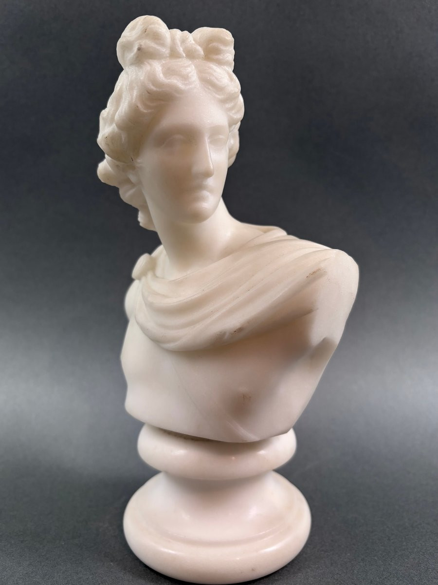 Piccolo Busto Neoclassico in Marmo Apollo del Belvedere Grand Tour XIX-photo-1