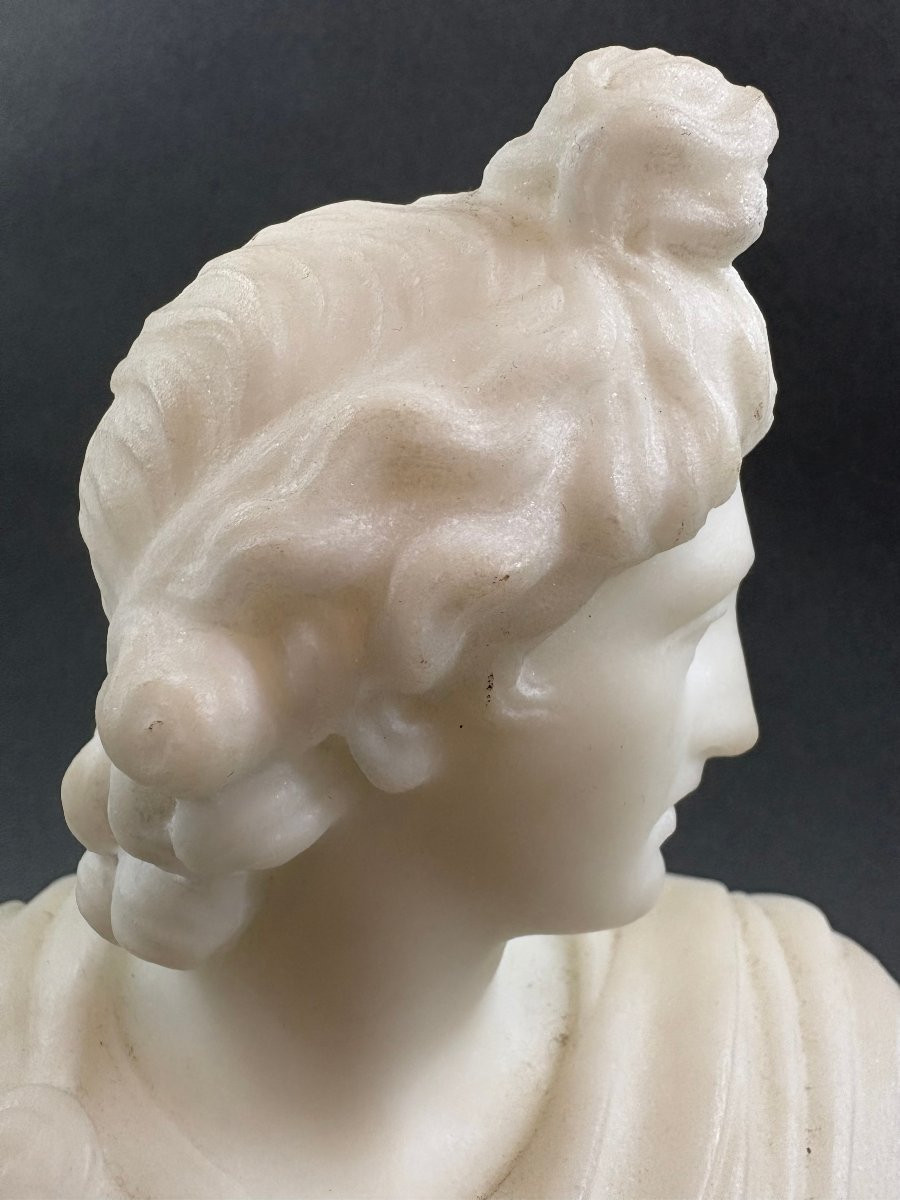 Piccolo Busto Neoclassico in Marmo Apollo del Belvedere Grand Tour XIX-photo-2