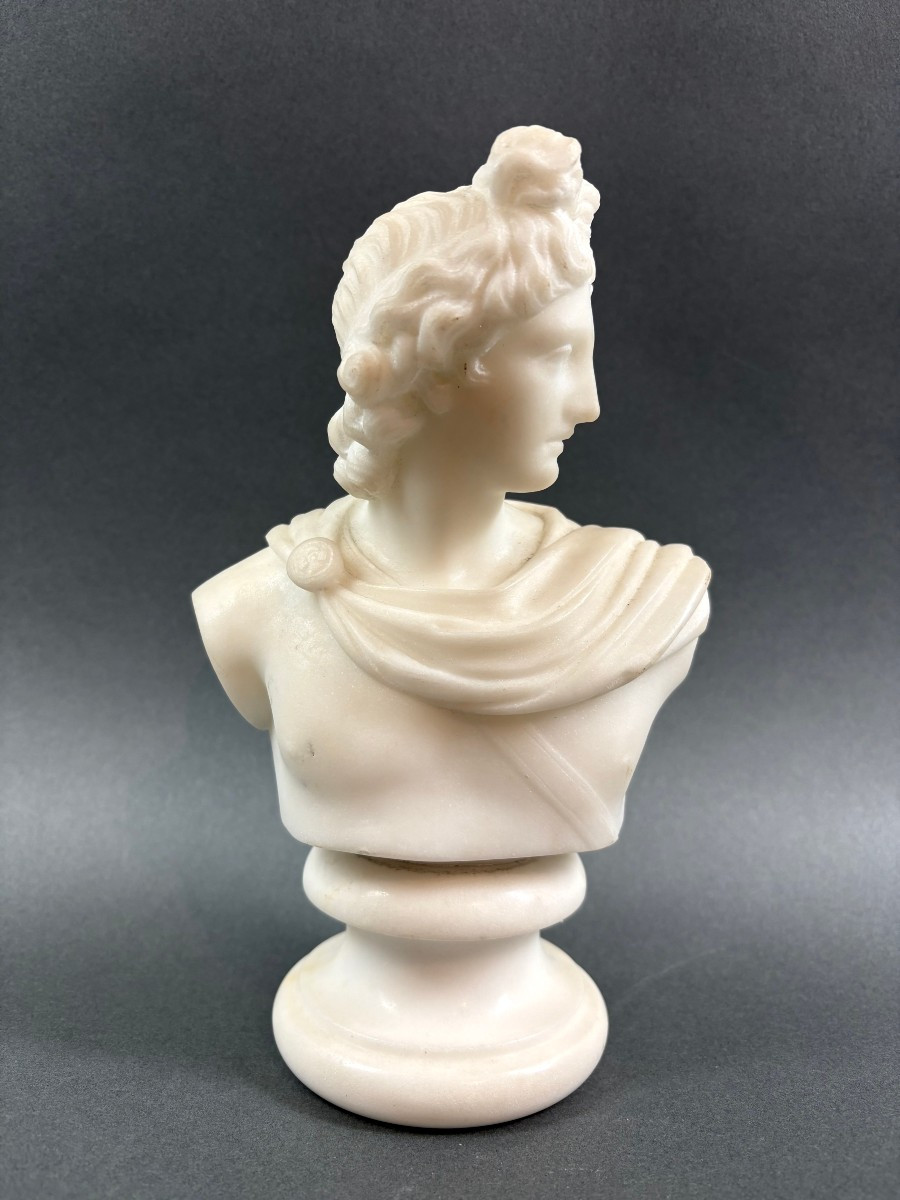 Piccolo Busto Neoclassico in Marmo Apollo del Belvedere Grand Tour XIX