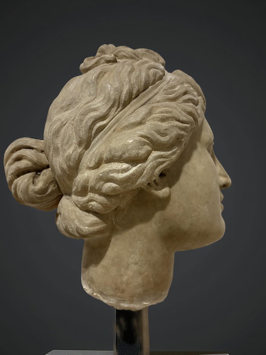 Testa in Marmo della Venere dei Medici Firenze XVII secolo-photo-2