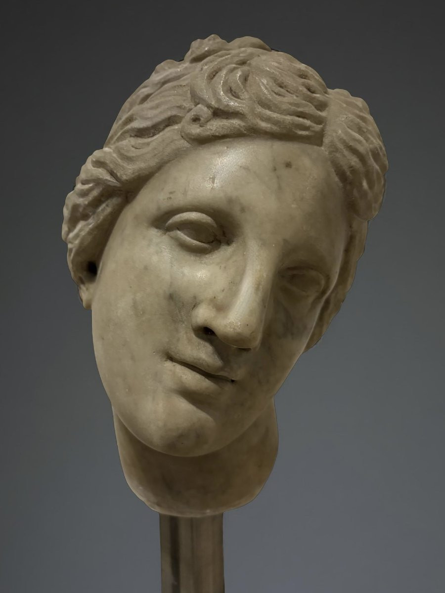 Testa in Marmo della Venere dei Medici Firenze XVII secolo-photo-4