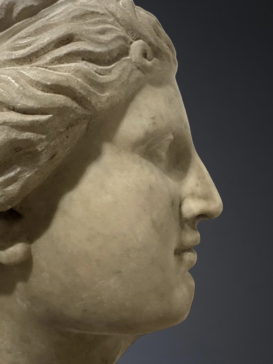 Testa in Marmo della Venere dei Medici Firenze XVII secolo-photo-5