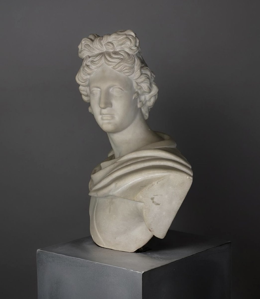 Busto in Marmo Apollo del Belvedere Grand Tour Roma XIX secolo-photo-4