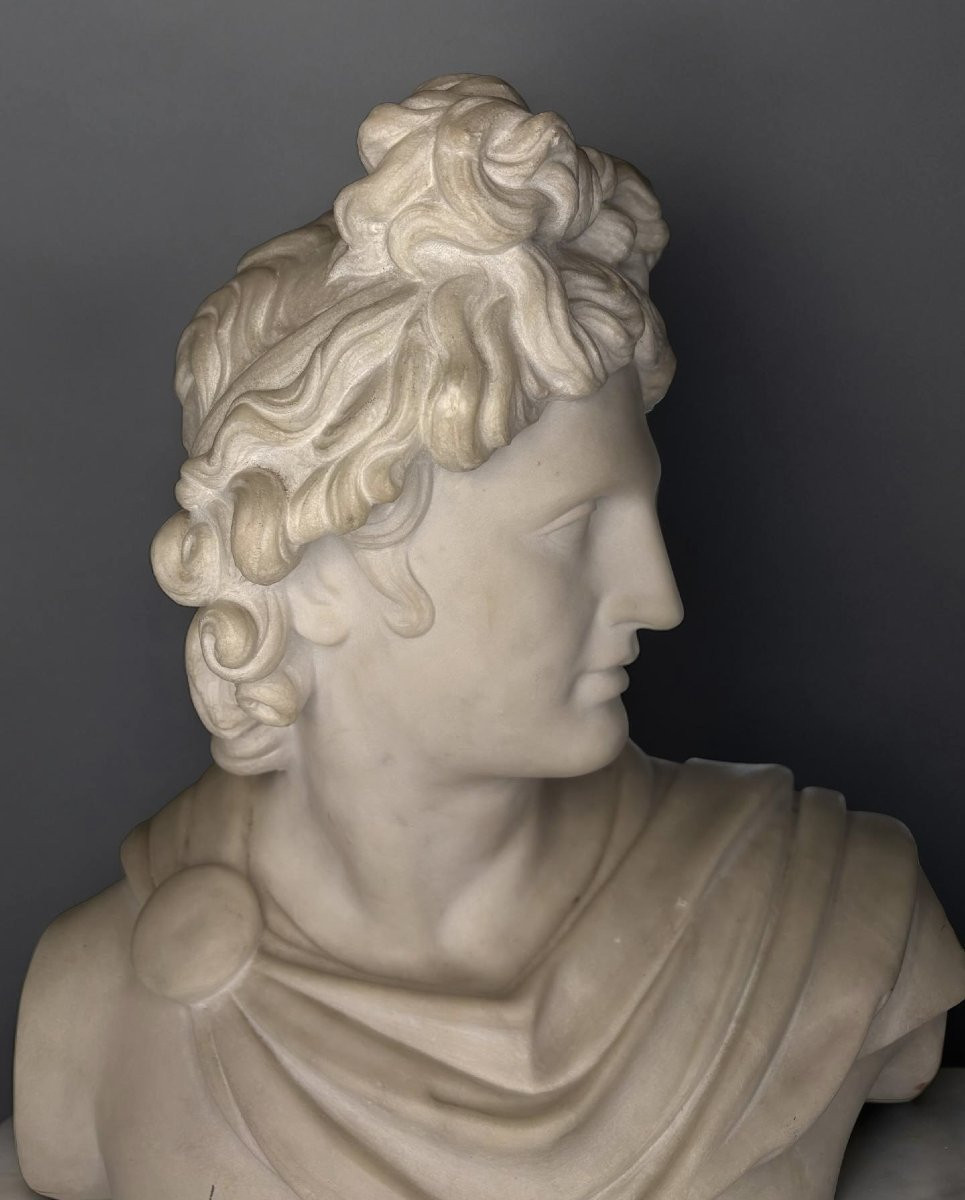 Busto in Marmo Apollo del Belvedere Grand Tour Roma XIX secolo-photo-1