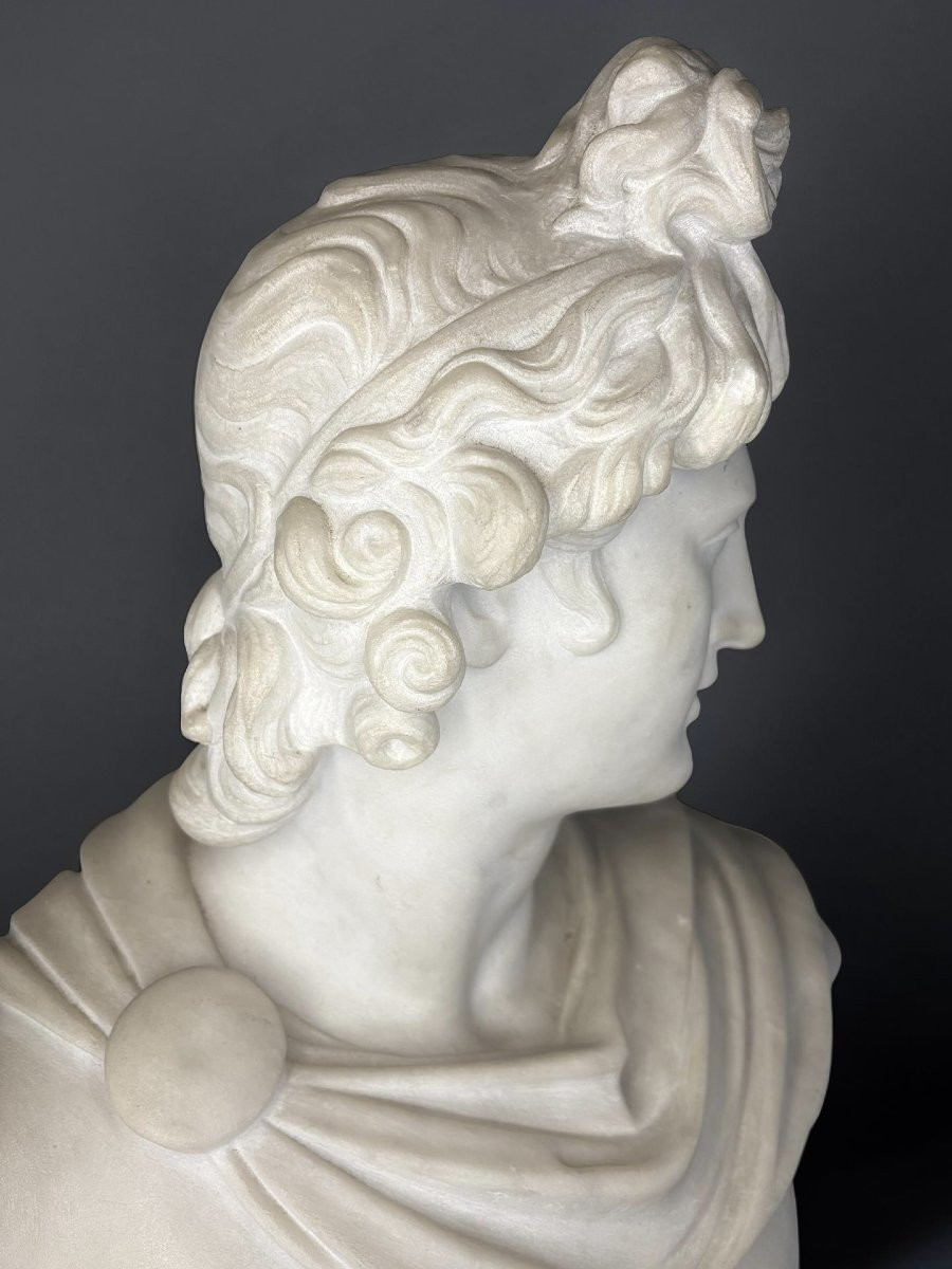 Busto in Marmo Apollo del Belvedere Grand Tour Roma XIX secolo-photo-3