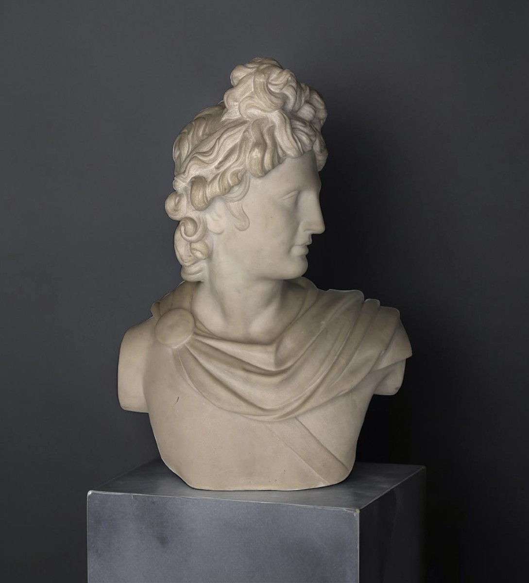 Busto in Marmo Apollo del Belvedere Grand Tour Roma XIX secolo