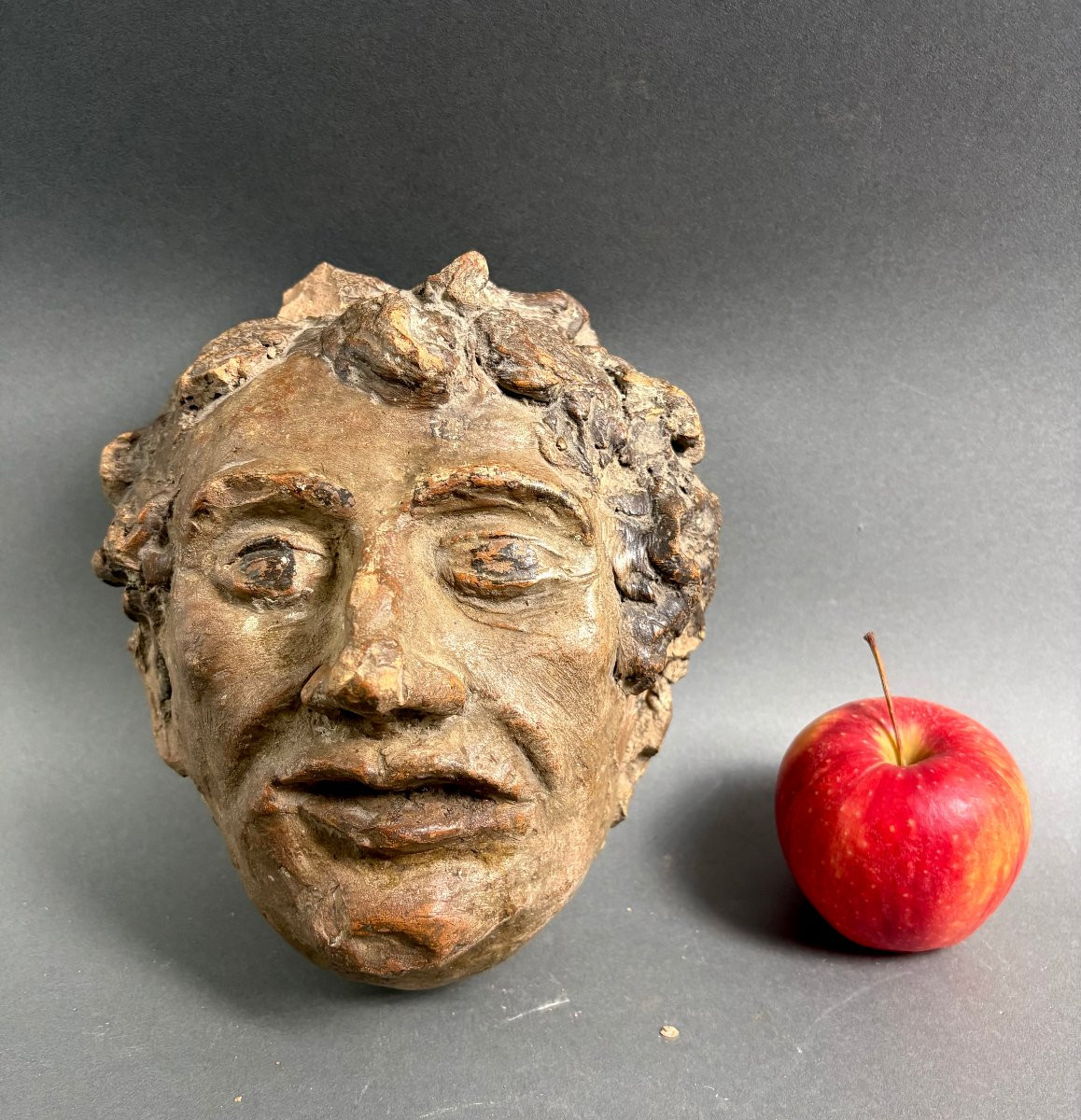 Testa di Fauno Altorilievo Terracotta Policroma XVIII secolo-photo-2