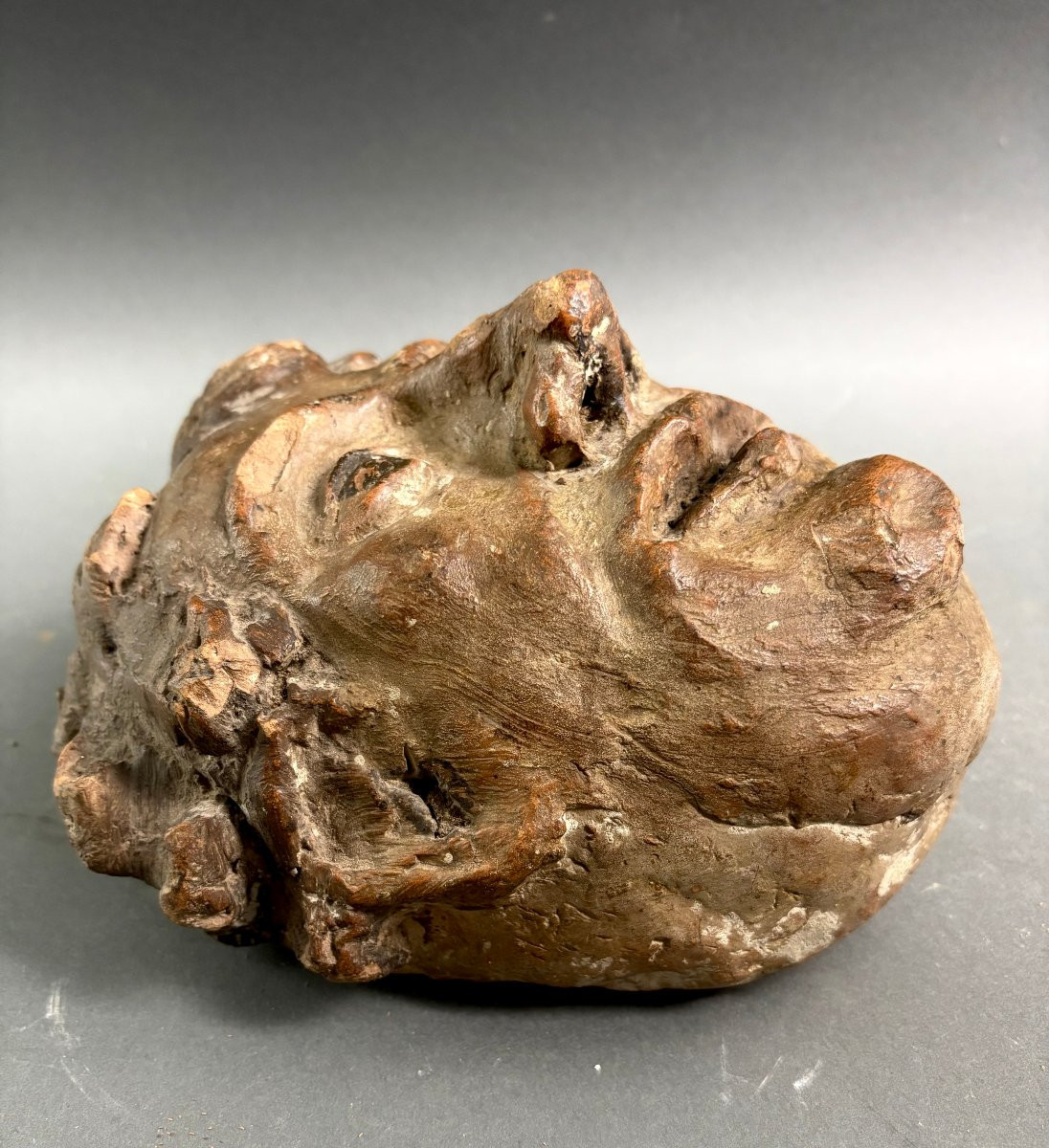 Testa di Fauno Altorilievo Terracotta Policroma XVIII secolo-photo-1