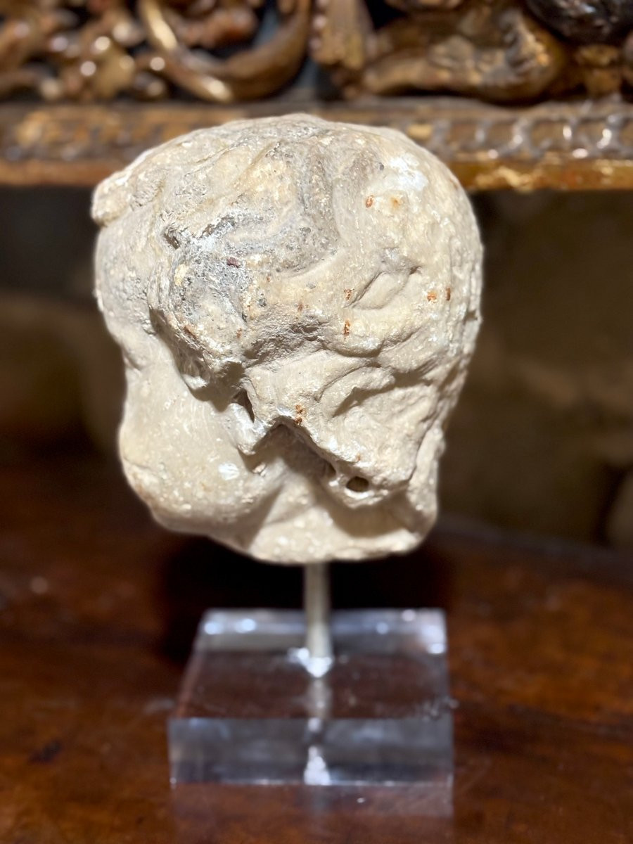 Testa in Marmo Barocca Roma XVII secolo-photo-2