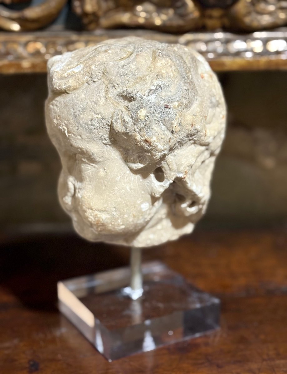 Testa in Marmo Barocca Roma XVII secolo-photo-5