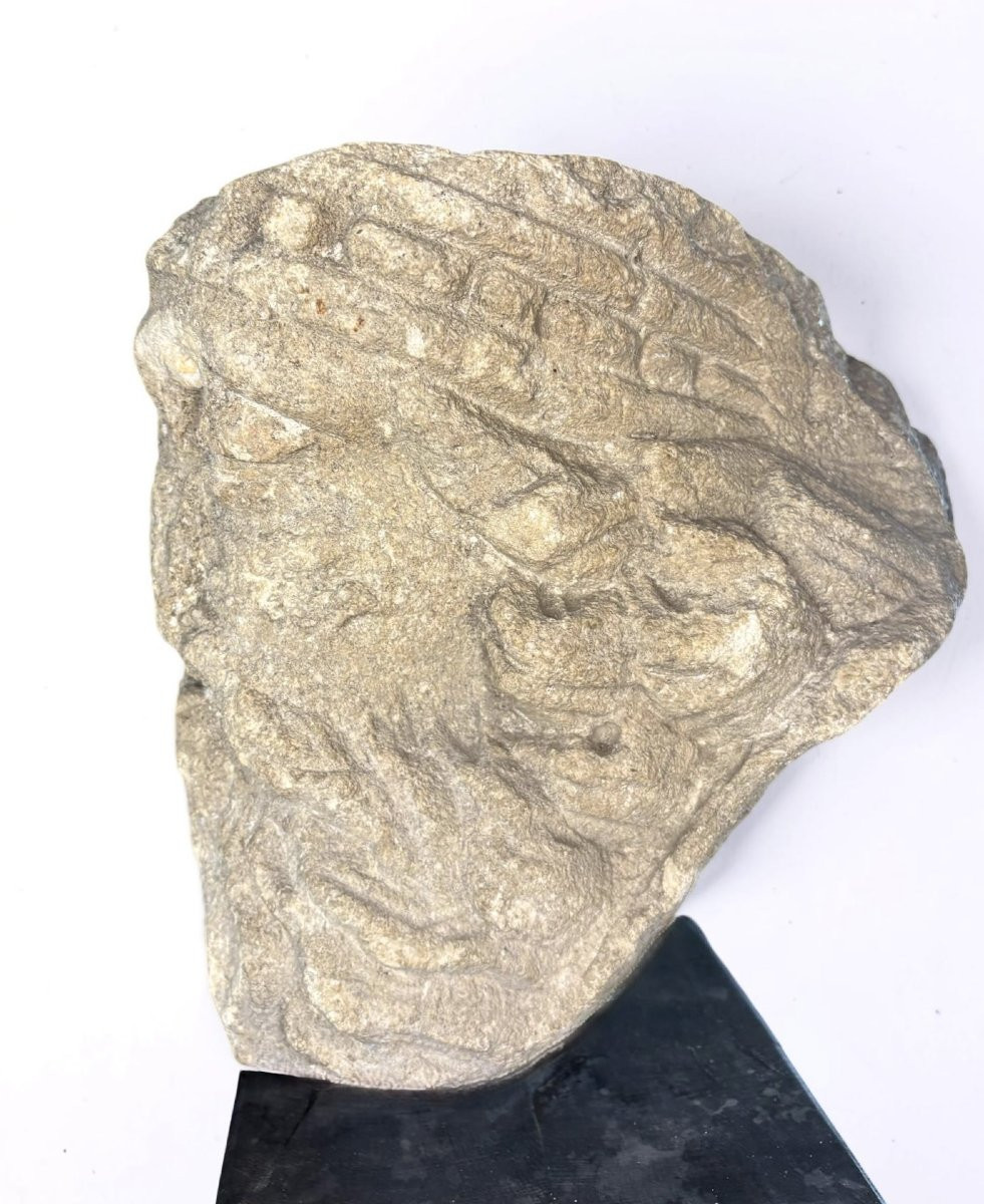 Testa Coronata medievale in Pietra Calcarea Francia XIII-XIV secolo-photo-3