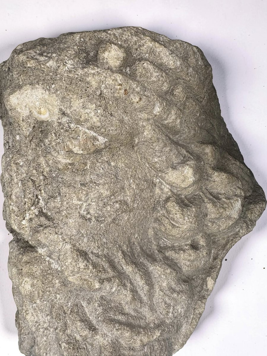 Testa Coronata medievale in Pietra Calcarea Francia XIII-XIV secolo-photo-6