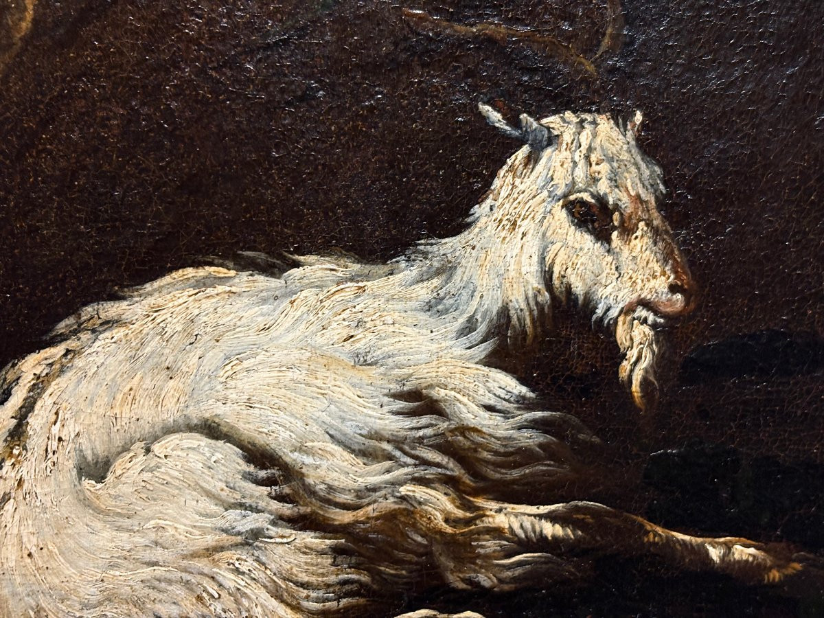 Philipp Peter Roos o Rosa da Tivoli (1657-1706) Armenti davanti la cascata vecchia di Tivoli-photo-2