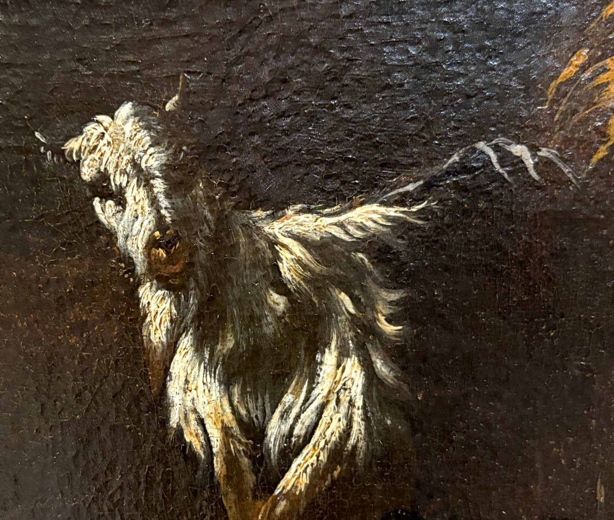 Philipp Peter Roos o Rosa da Tivoli (1657-1706) Armenti davanti la cascata vecchia di Tivoli-photo-4