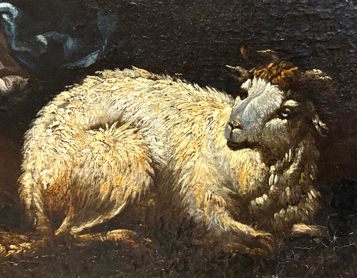 Philipp Peter Roos o Rosa da Tivoli (1657-1706) Armenti davanti la cascata vecchia di Tivoli-photo-5