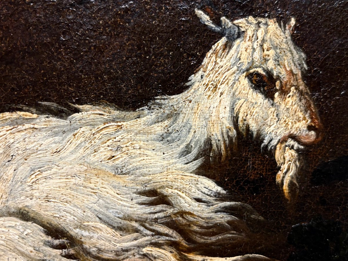 Philipp Peter Roos o Rosa da Tivoli (1657-1706) Armenti davanti la cascata vecchia di Tivoli-photo-7