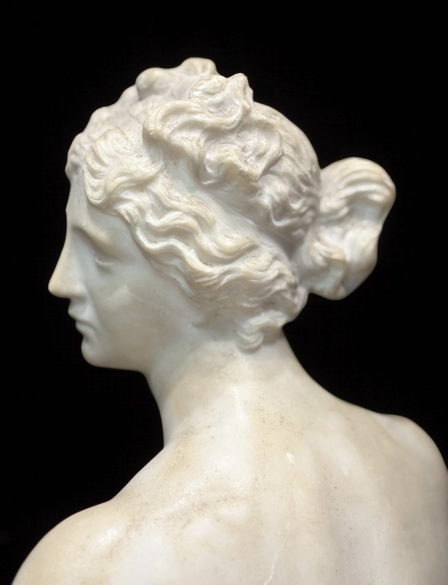 Busto in Marmo della Venere dei Medici Grand Tour Italia XIX secolo-photo-5