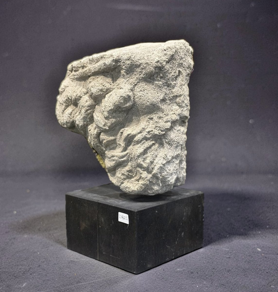 Testa Coronata medievale in Pietra Calcarea Francia XIII-XIV secolo-photo-3