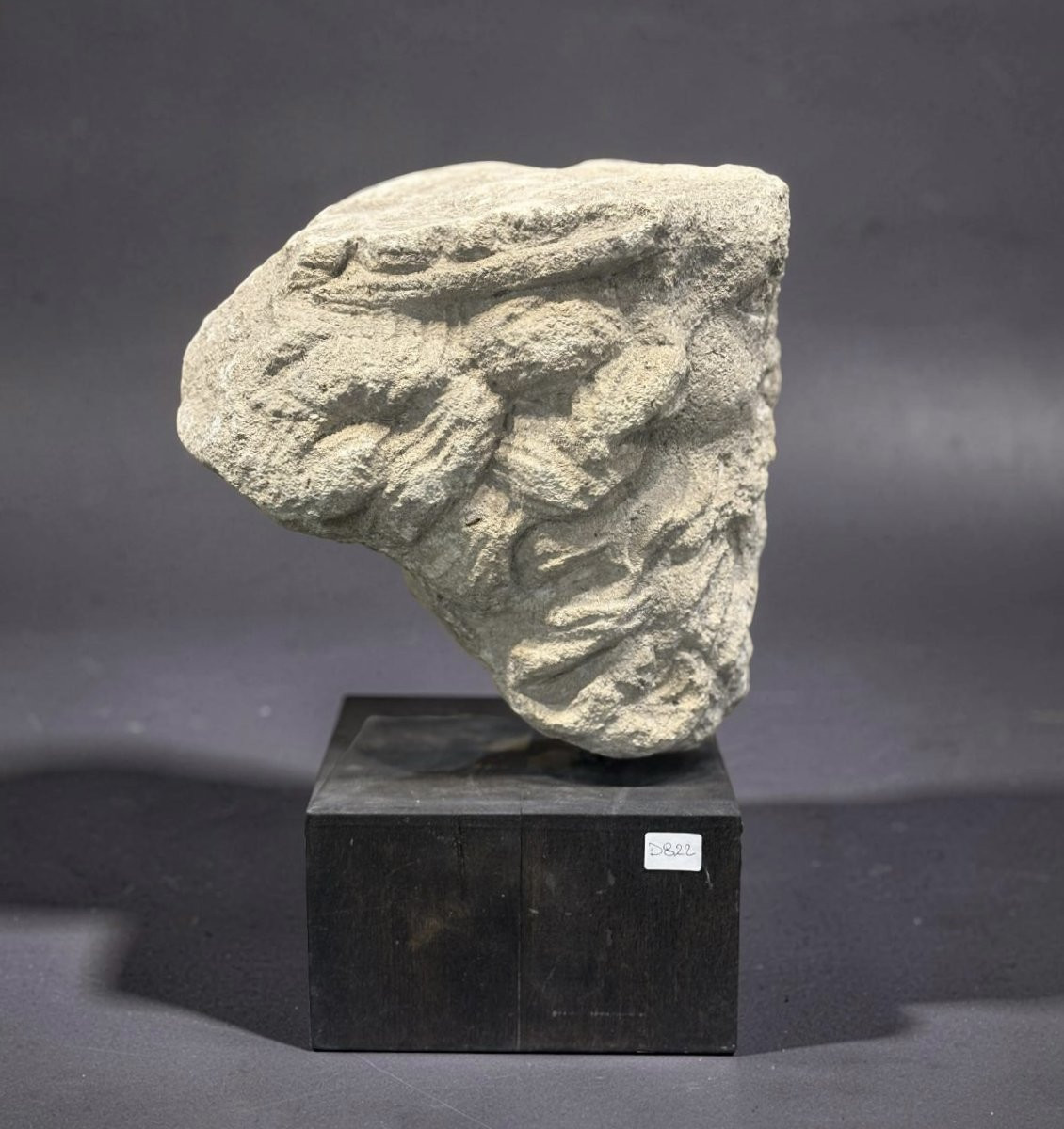 Testa Coronata medievale in Pietra Calcarea Francia XIII-XIV secolo-photo-5