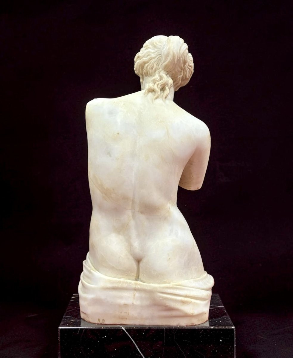 Grande Scultura Neoclassica Alabastro Torso di Venere Italia circa 1860-photo-3
