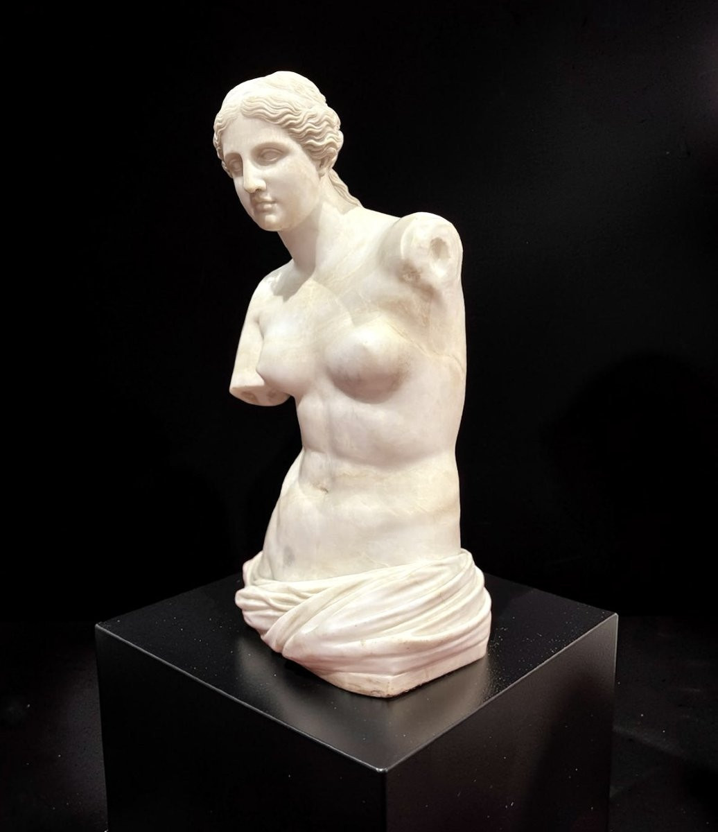 Grande Scultura Neoclassica Alabastro Torso di Venere Italia circa 1860-photo-3