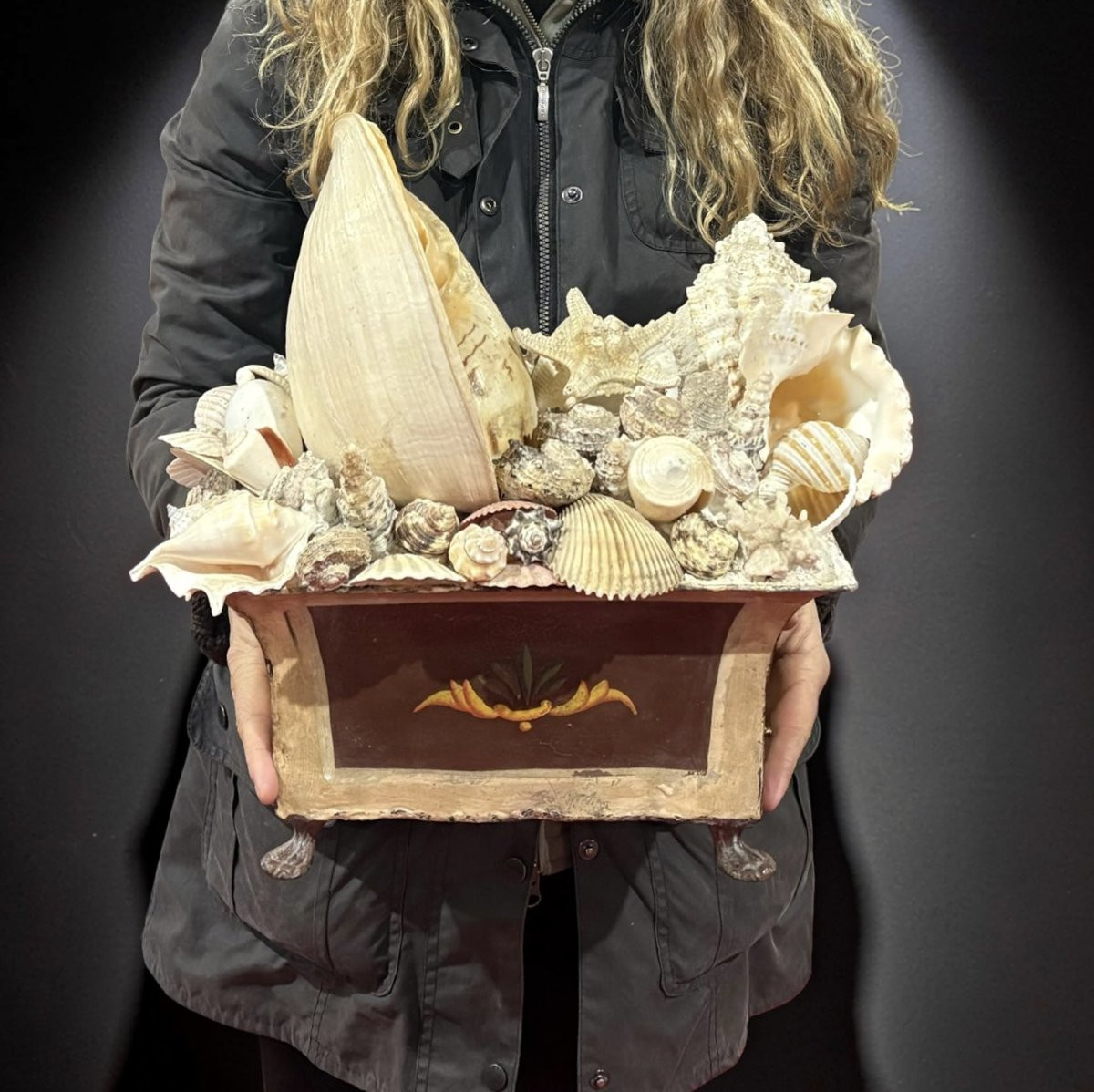 Grande Naturalia Composizione di Conchiglie inizio XX-photo-2