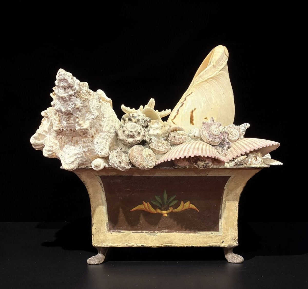 Grande Naturalia Composizione di Conchiglie inizio XX