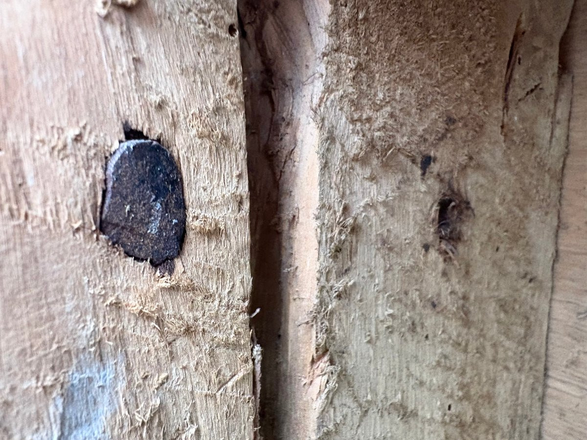 Predella da Altare Barocca Legno Dorato inizi XVIII secolo-photo-6