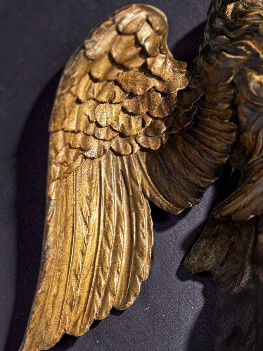 Aquila in Legno Dorato Italia XVIII secolo-photo-3