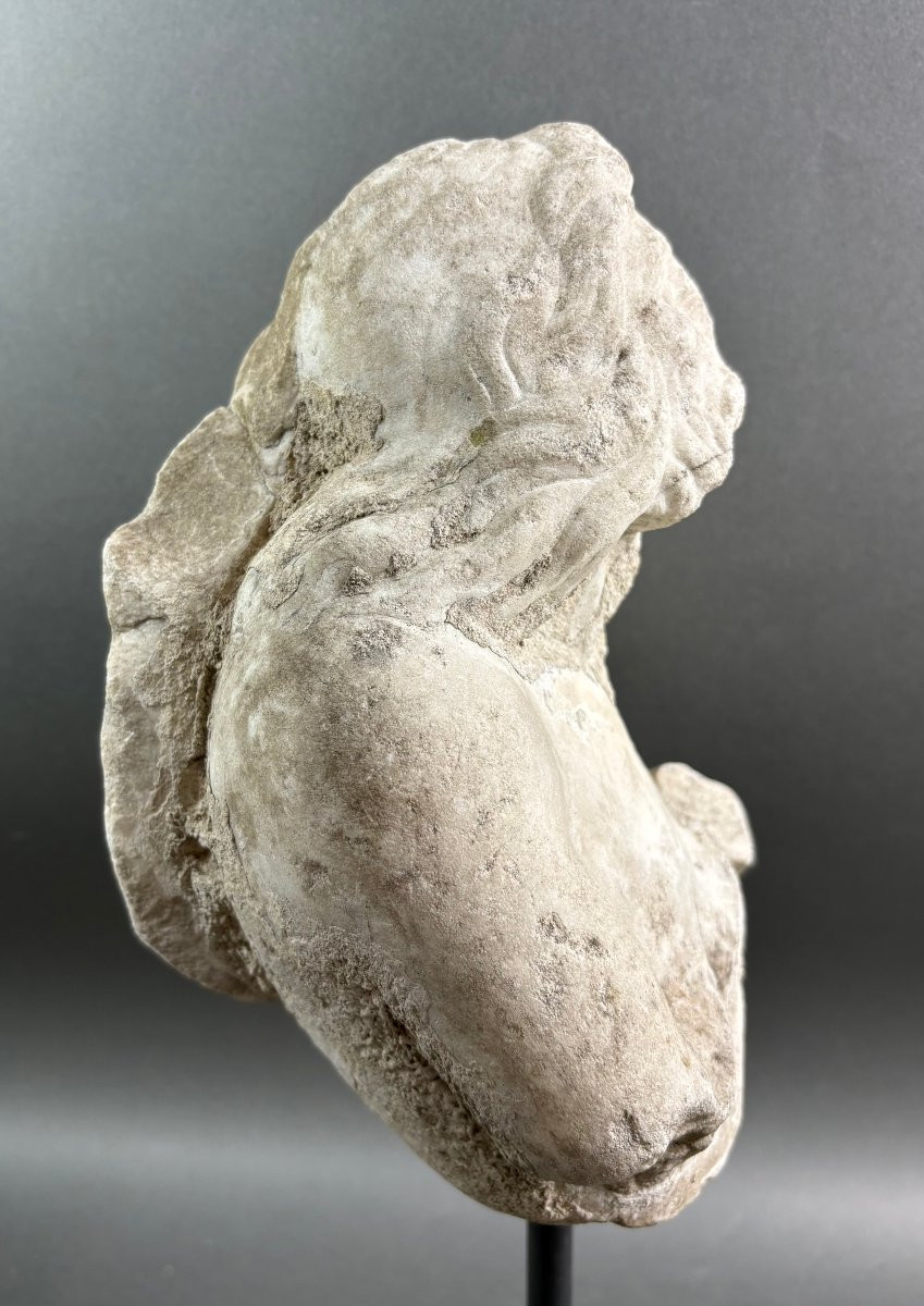 Tritone in Marmo Frammento di Scultura Italia XVII secolo-photo-2