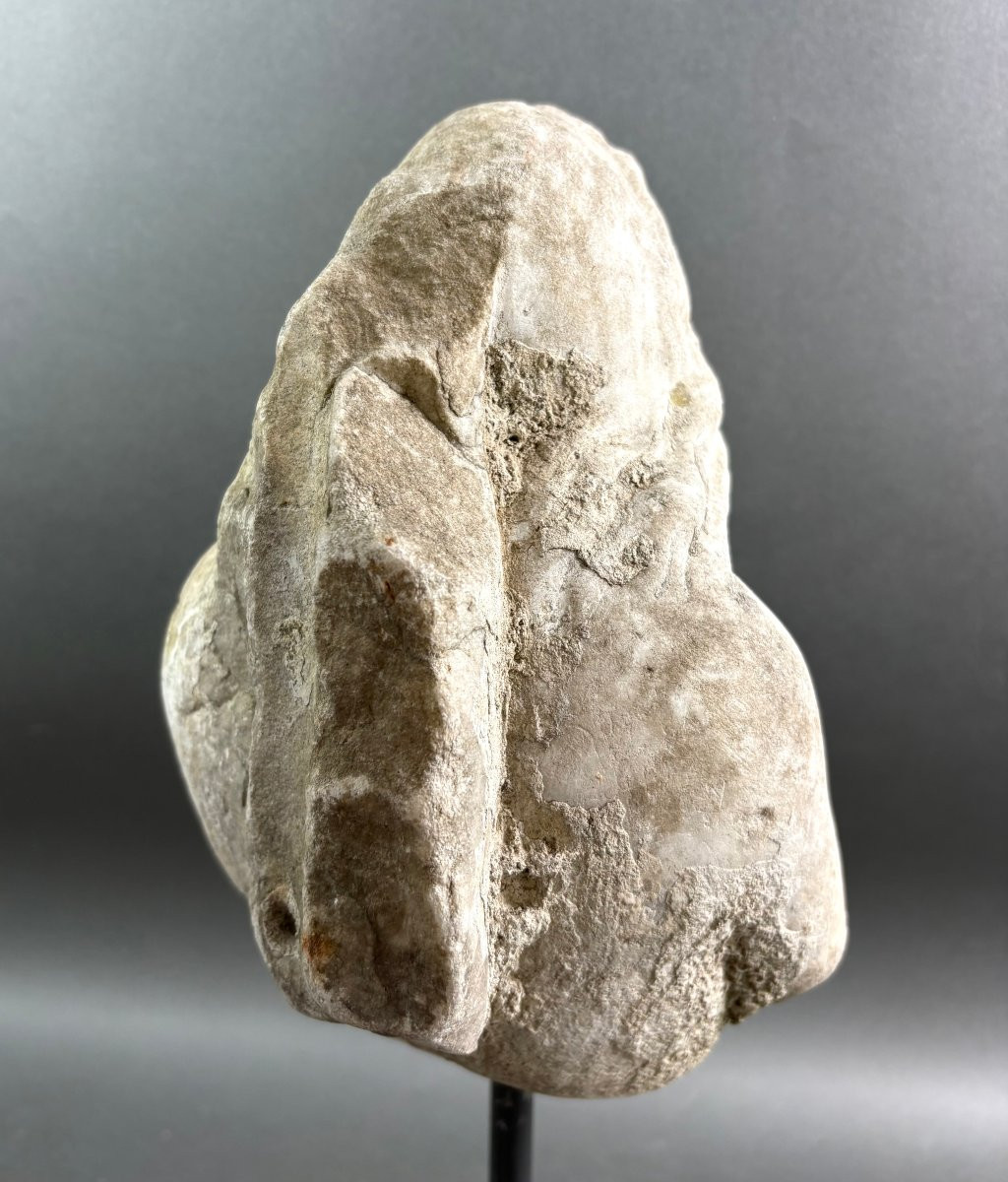 Tritone in Marmo Frammento di Scultura Italia XVII secolo-photo-3