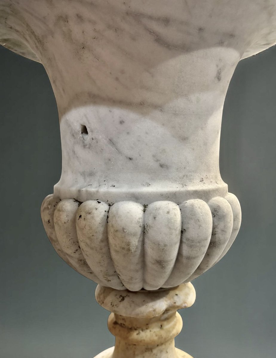 Coppia di Vasi Medicei in Marmo di Carrara, XVII secolo-photo-3