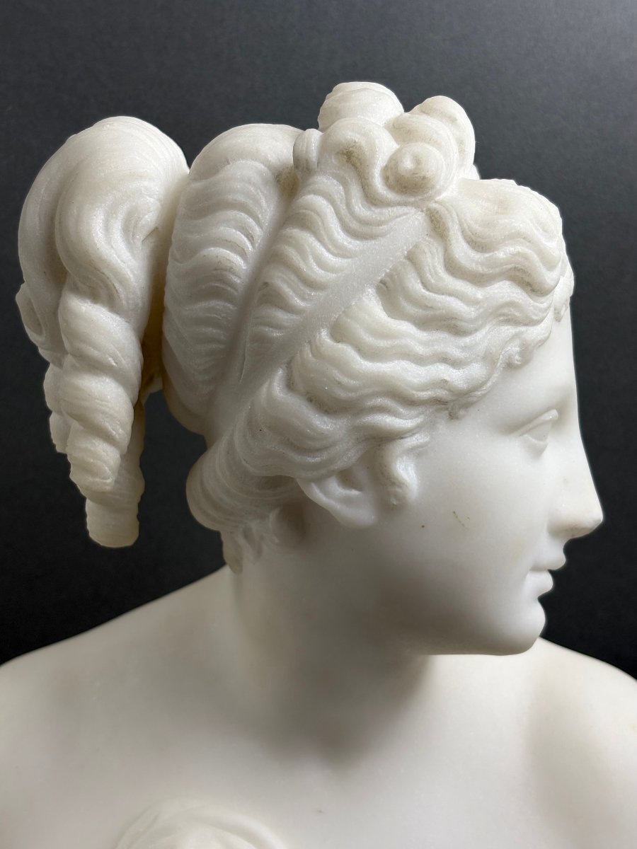 Busto in Marmo della Venere Italica Grand Tour Firenze XIX secolo-photo-2