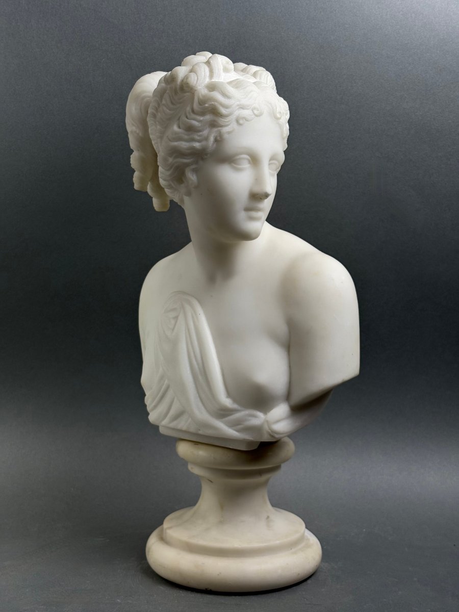 Busto in Marmo della Venere Italica Grand Tour Firenze XIX secolo-photo-4