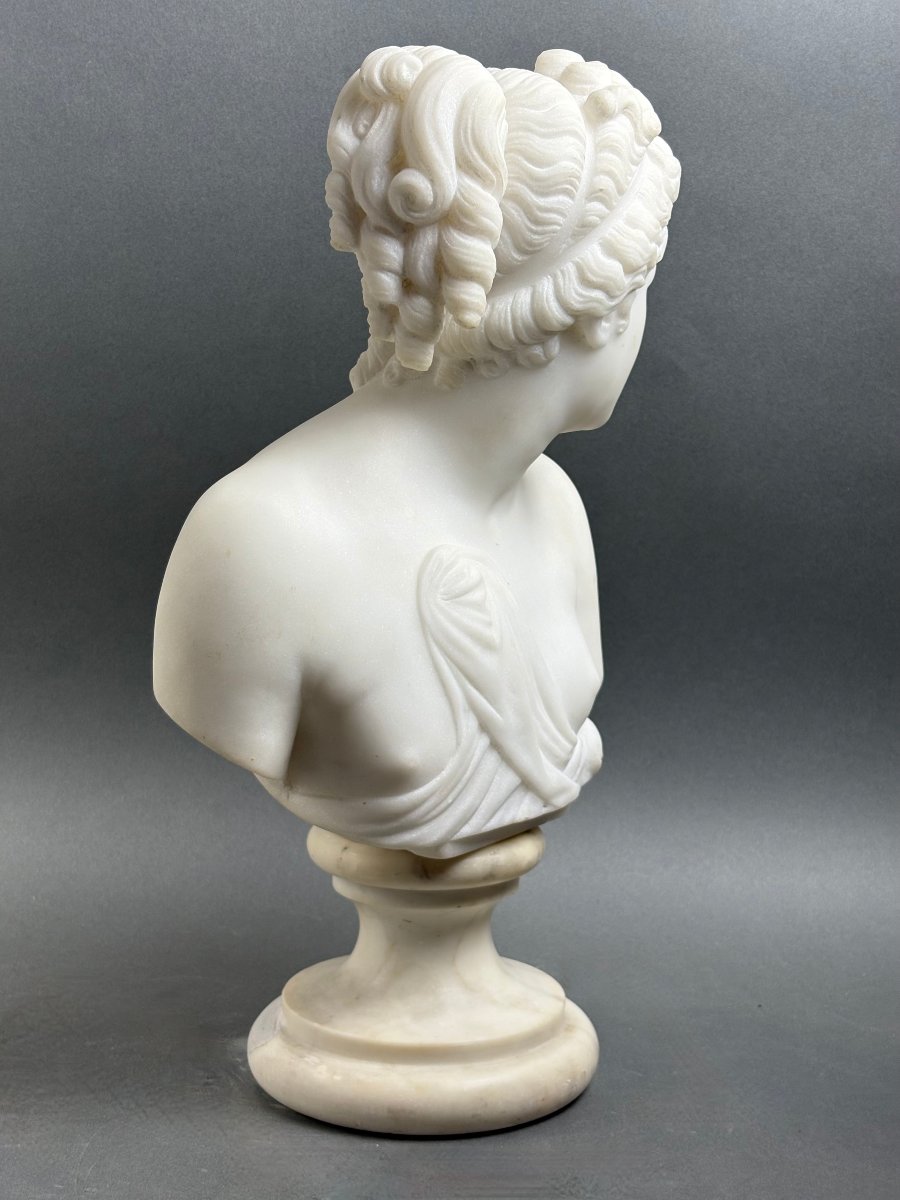 Busto in Marmo della Venere Italica Grand Tour Firenze XIX secolo-photo-3