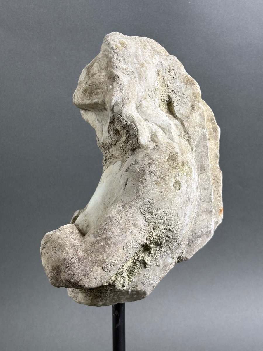 Tritone in Marmo Frammento di Scultura Barocco Italiano metà del  XVII secolo-photo-5