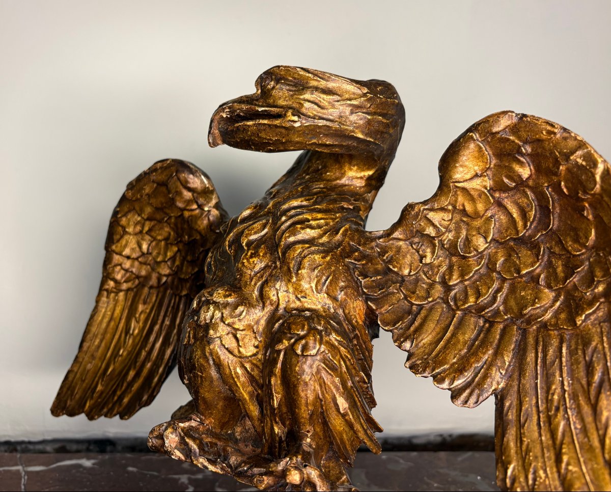Aquila Neoclassica in Legno Dorato Italia XVIII secolo-photo-1