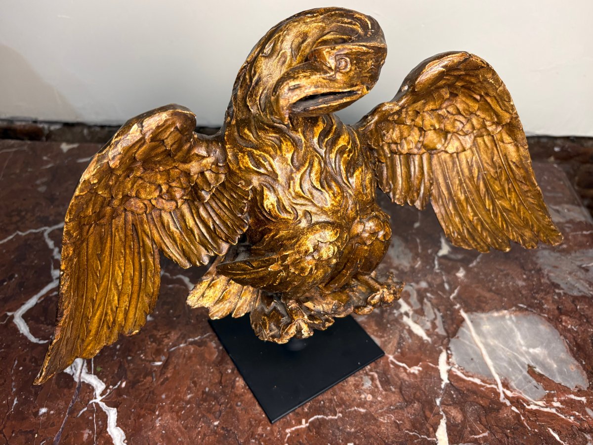 Aquila Neoclassica in Legno Dorato Italia XVIII secolo-photo-6