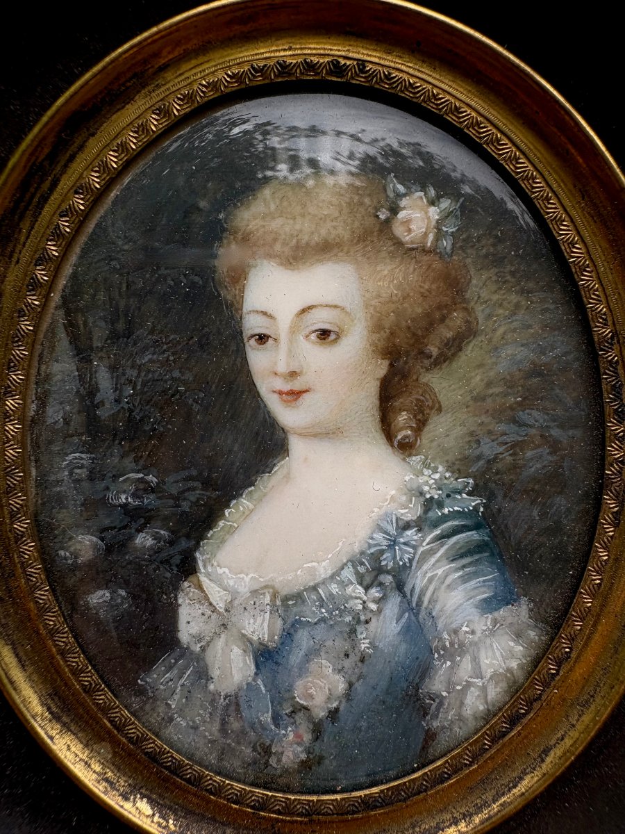 Ritratto di Dama del XVIII secolo Miniatura Ovale Scuola Francese 