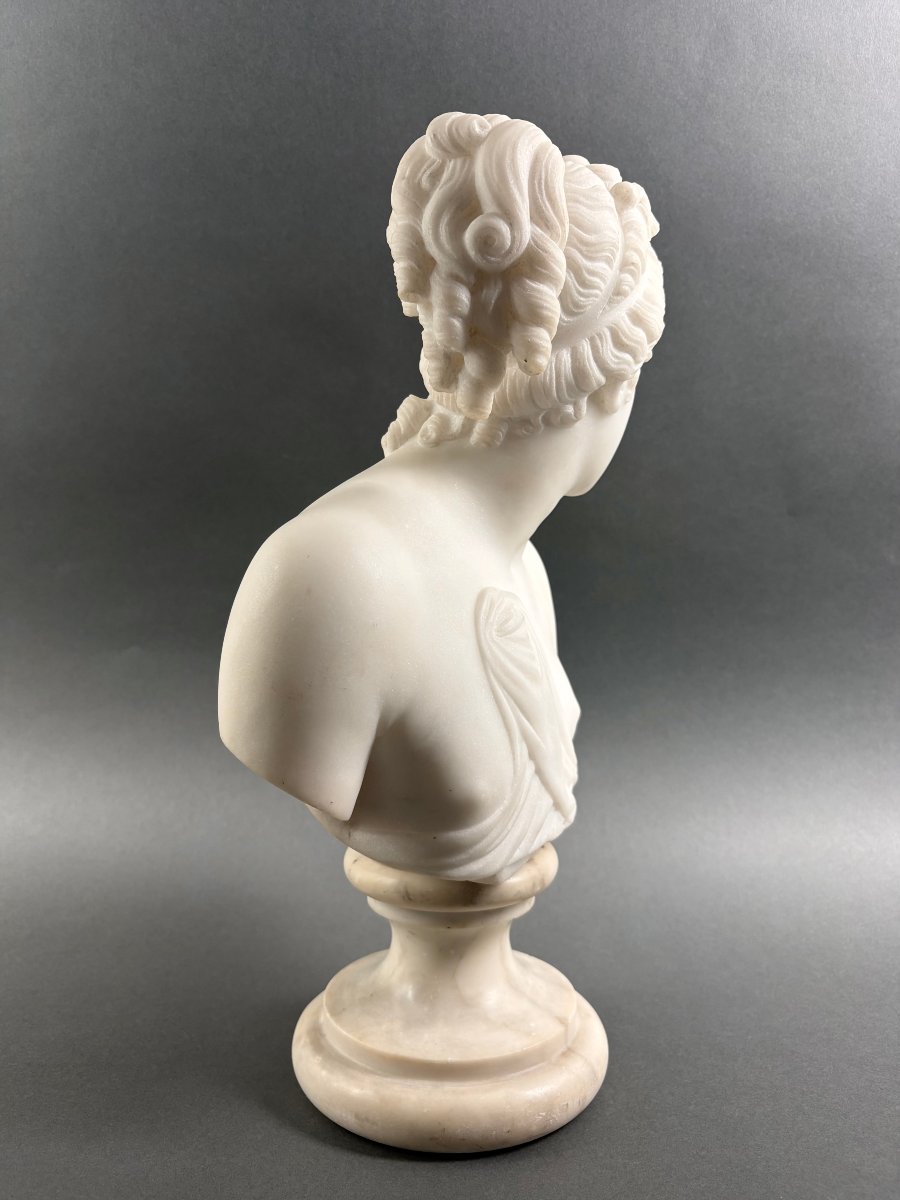 Busto in Marmo della Venere Italica Grand Tour Firenze XIX secolo-photo-2
