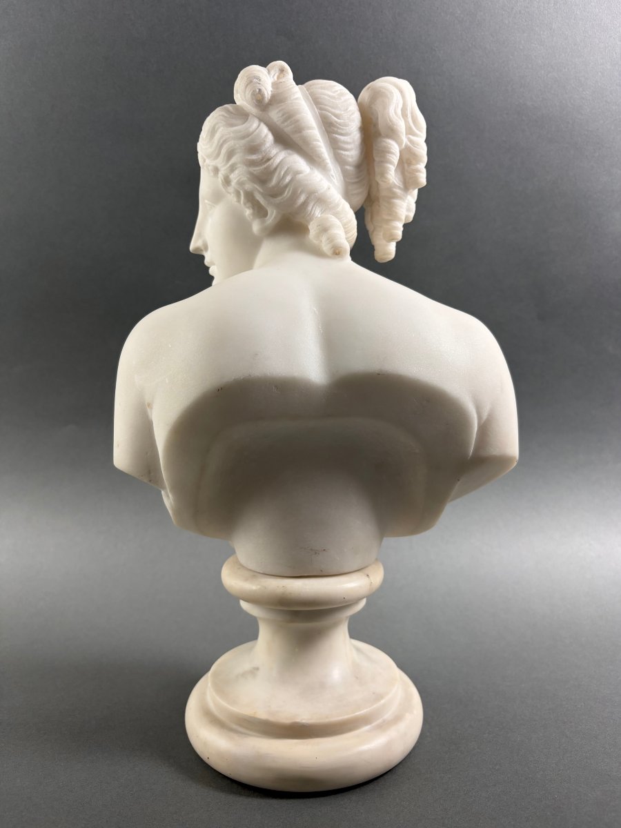 Busto in Marmo della Venere Italica Grand Tour Firenze XIX secolo-photo-4