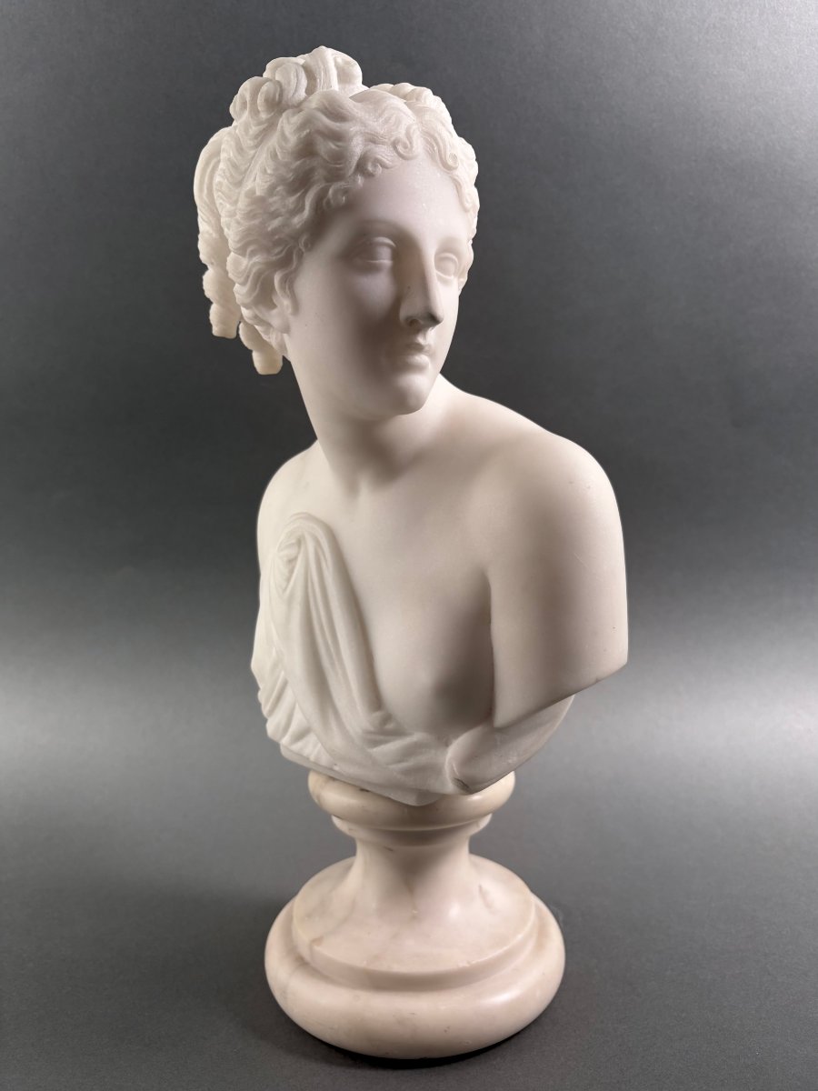 Busto in Marmo della Venere Italica Grand Tour Firenze XIX secolo-photo-1